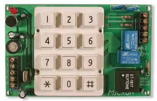 Micron DD-200